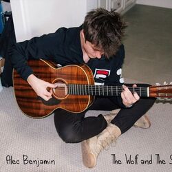 Animal Chords by Alec Benjamin