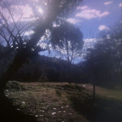 Salvia Chords by Ataquemos