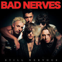 You've Got The Nerve by Bad Nerves