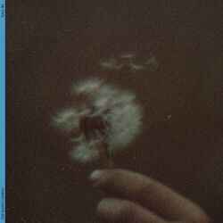 12:34 Chords by The Band Camino