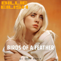 Birds Of A Feather Ukulele by Billie Eilish