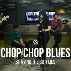 Chop-chop Blues by Bita And The Botflies