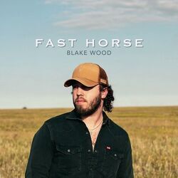 Fast Horse Chords by Blake Wood