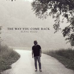 The Way You Come Back by Blake Wood