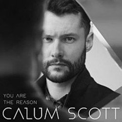 Calum Scott You Are The Reason Chords Mychordbook