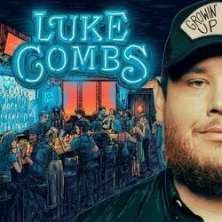 Any Given Friday Night by Luke Combs