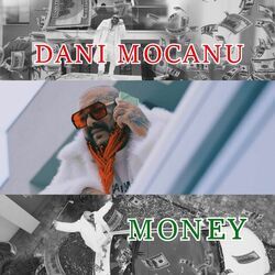 Money by Dani Mocanu