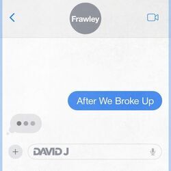 After We Broke Up by David J, Frawley