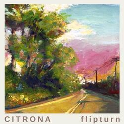 Hippies Chords by Flipturn