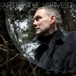 After The Harvest by David Gray