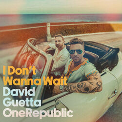 I Don't Wanna Wait by David Guetta