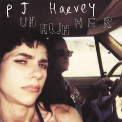 The Life And Death Of Mr Badmouth Chords by PJ Harvey