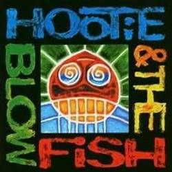 Hold My Hand Acoustic by Hootie & The Blowfish