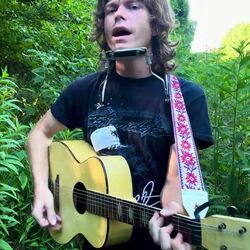 Wild Horses Chords by Jesse Welles