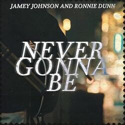 Never Gonna Be Chords by Jamey Johnson