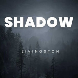 Shadow by Livingston