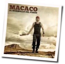 Love Is The Only Way by Macaco