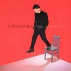 Almost Everything by Richard Marx