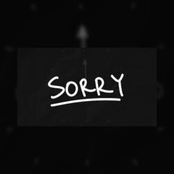 Sorry by Napking