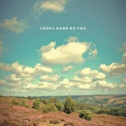 Looks Good On You by Nate Good