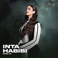 Inta Habibi by Nej'