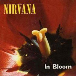 nirvana in bloom lyrics