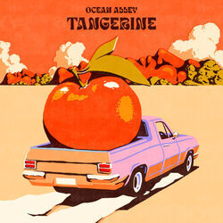 Tangerine by Ocean Alley