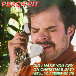 Did I Make You Cry On Christmas Day Chords by Peach Pit