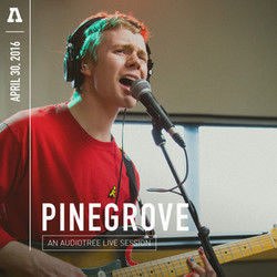 Recycling by Pinegrove