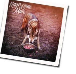 Wolves by Rag'n'bone Man