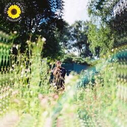 Sunflower Acoustic Tab by Rex Orange County