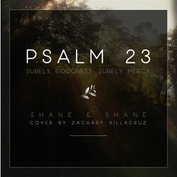 Psalm 23 Surely Goodness Surely Mercy by Shane & Shane