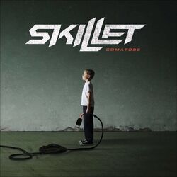 Falling Inside The Black by Skillet