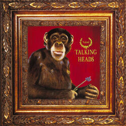 Mr Jones Bass Tab by Talking Heads
