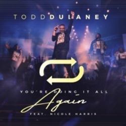 You're Doing It All Again by Todd Dulaney