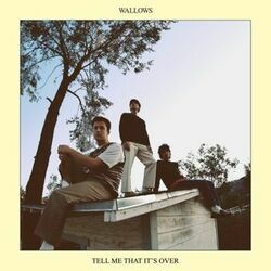 Marvelous by Wallows