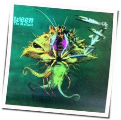 The Golden Eel by Ween