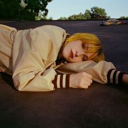 Whim Intro by Hayley Williams