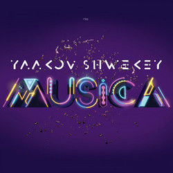 A Mothers Promise by Yaakov Shwekey