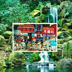 Dog Days Chords by Yot Club