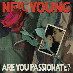 Don't Say You Love Me Chords by Neil Young